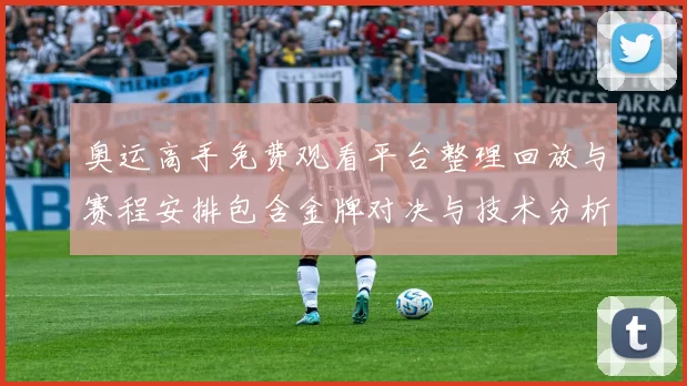 奥运高手免费观看平台整理回放与赛程安排包含金牌对决与技术分析