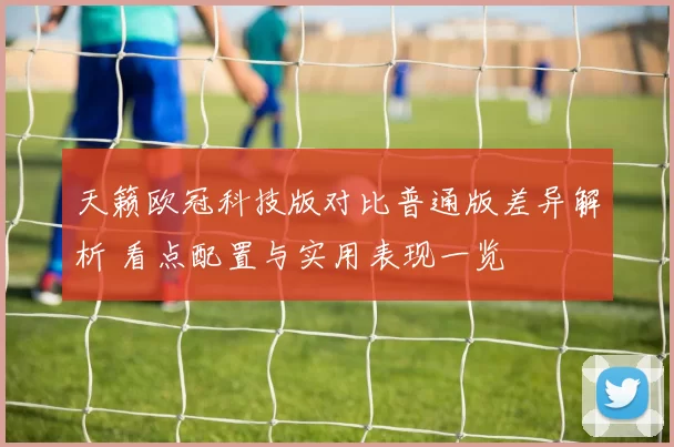 天籁欧冠科技版对比普通版差异解析 看点配置与实用表现一览