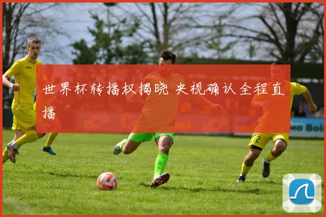 世界杯转播权揭晓 央视确认全程直播