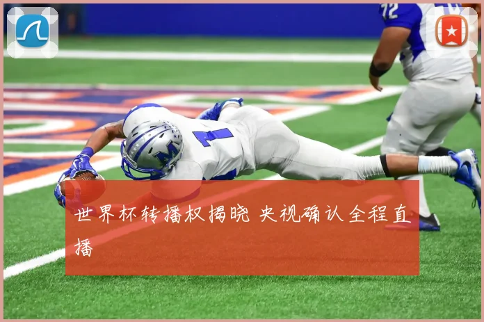 世界杯转播权揭晓 央视确认全程直播